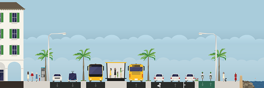 Bus rapid transit (BRT)